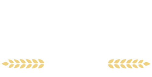 Emily Brewer for Virginia